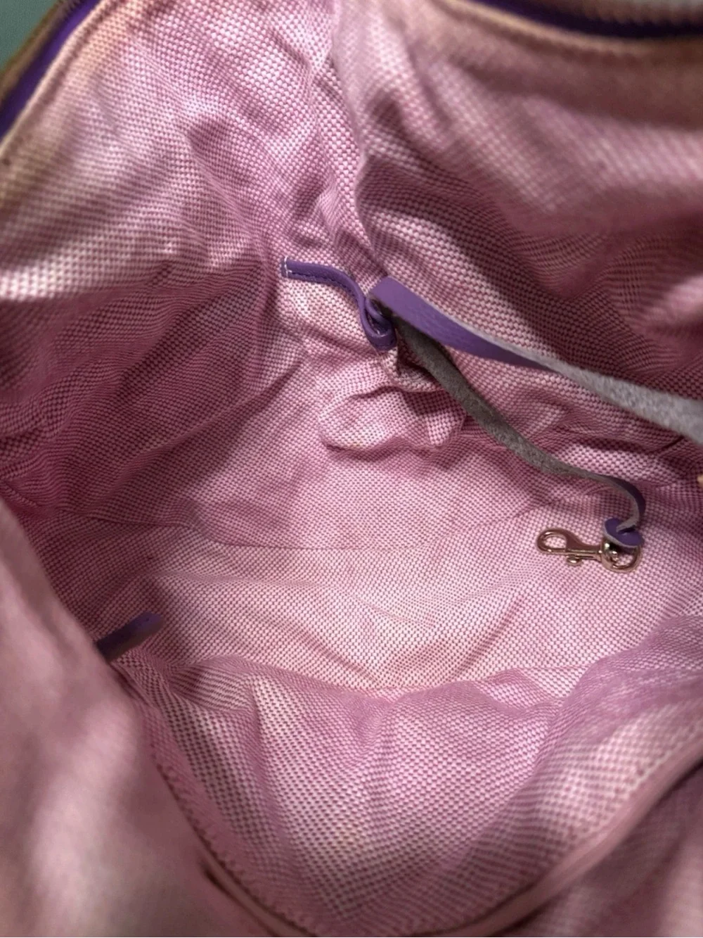 Dooney & Bourke Luna Purple Expandable Hobo Bag